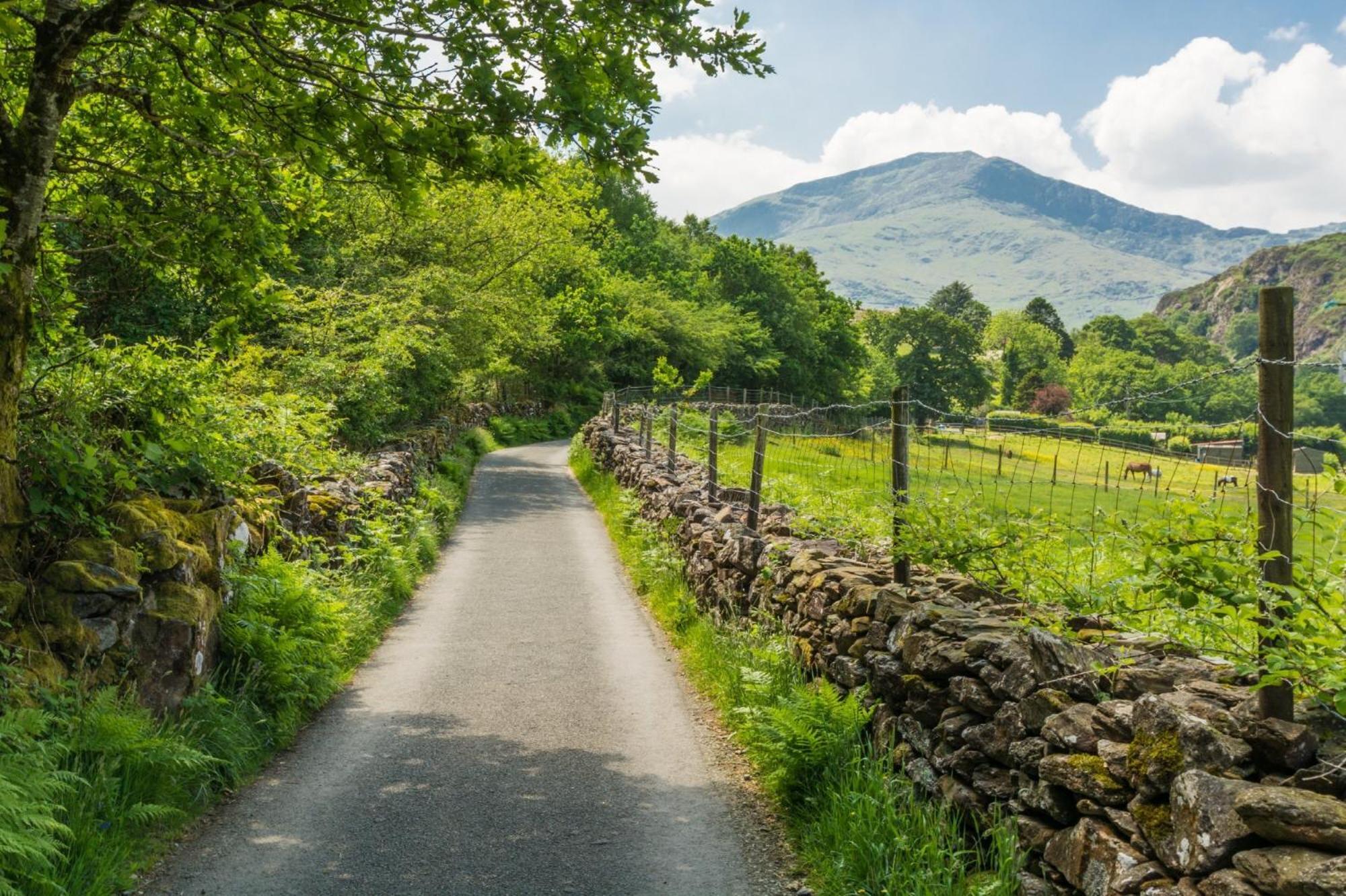 فندق بيدجيليرتفي  Sygun Fawr Country House المظهر الخارجي الصورة